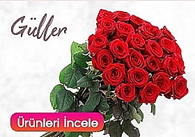 ieki bykekmece iek