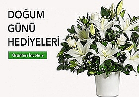 Bykekmecede ieki
