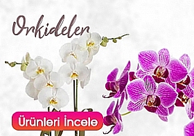 Bykekmece ieki