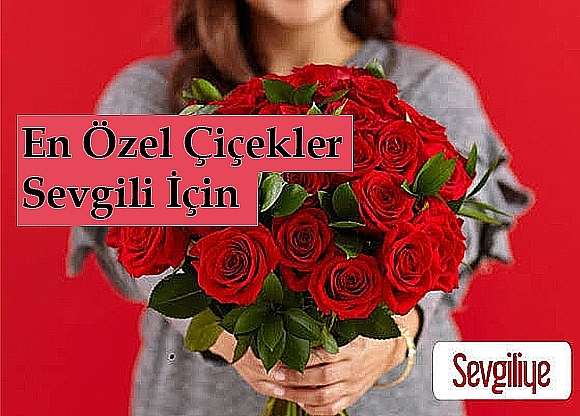 buyukcekmececiceksiparisi